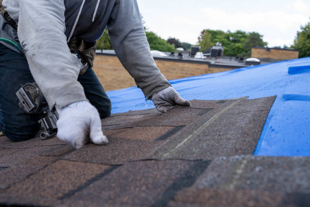 4 Ply Roofing in Melvindale, MI